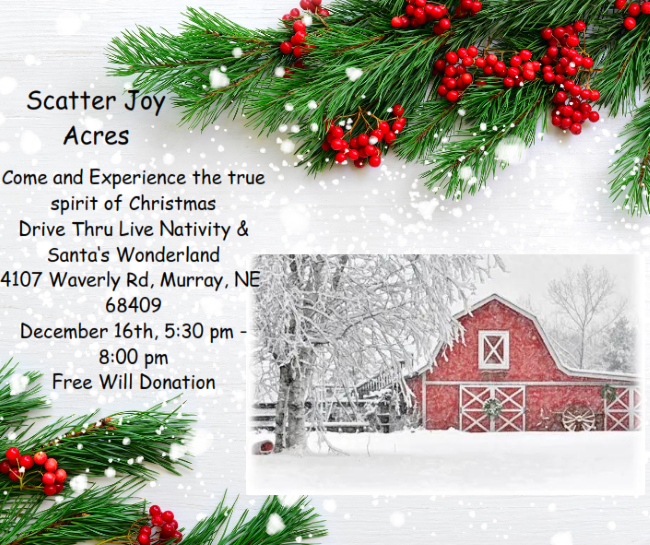 Christmas at 4 mile Creek 001